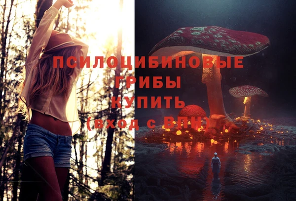 героин Алзамай