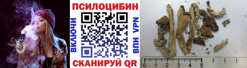 Псилоцибиновые грибы мухоморы Чухлома