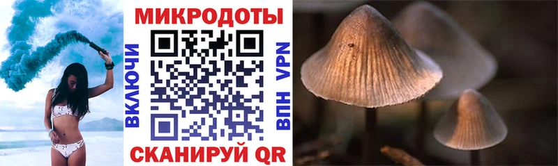 закладка  Чухлома  Галлюциногенные грибы ЛСД 